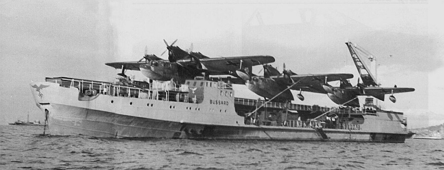 Bussard