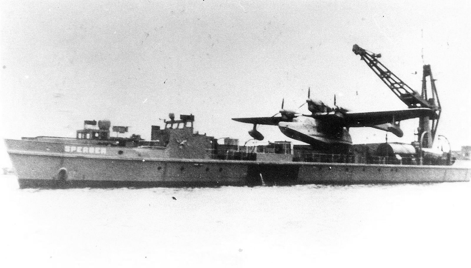 Sperber