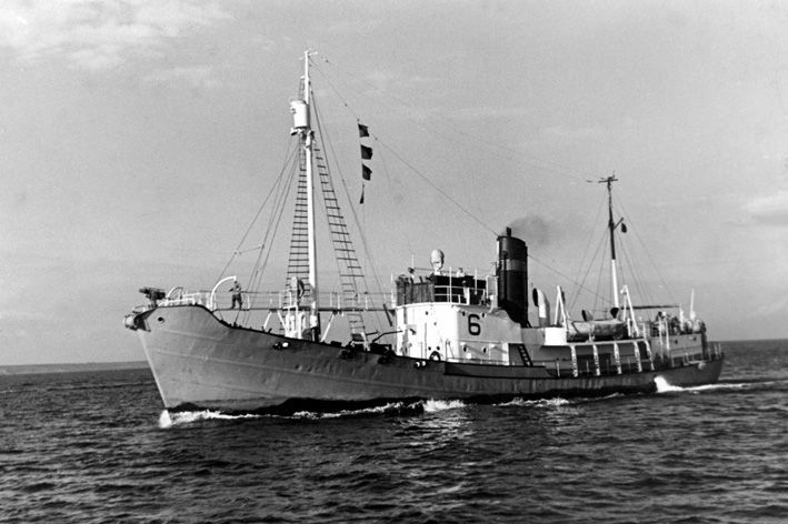 Wal-10