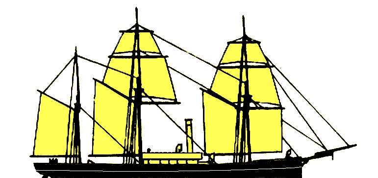 Delphin