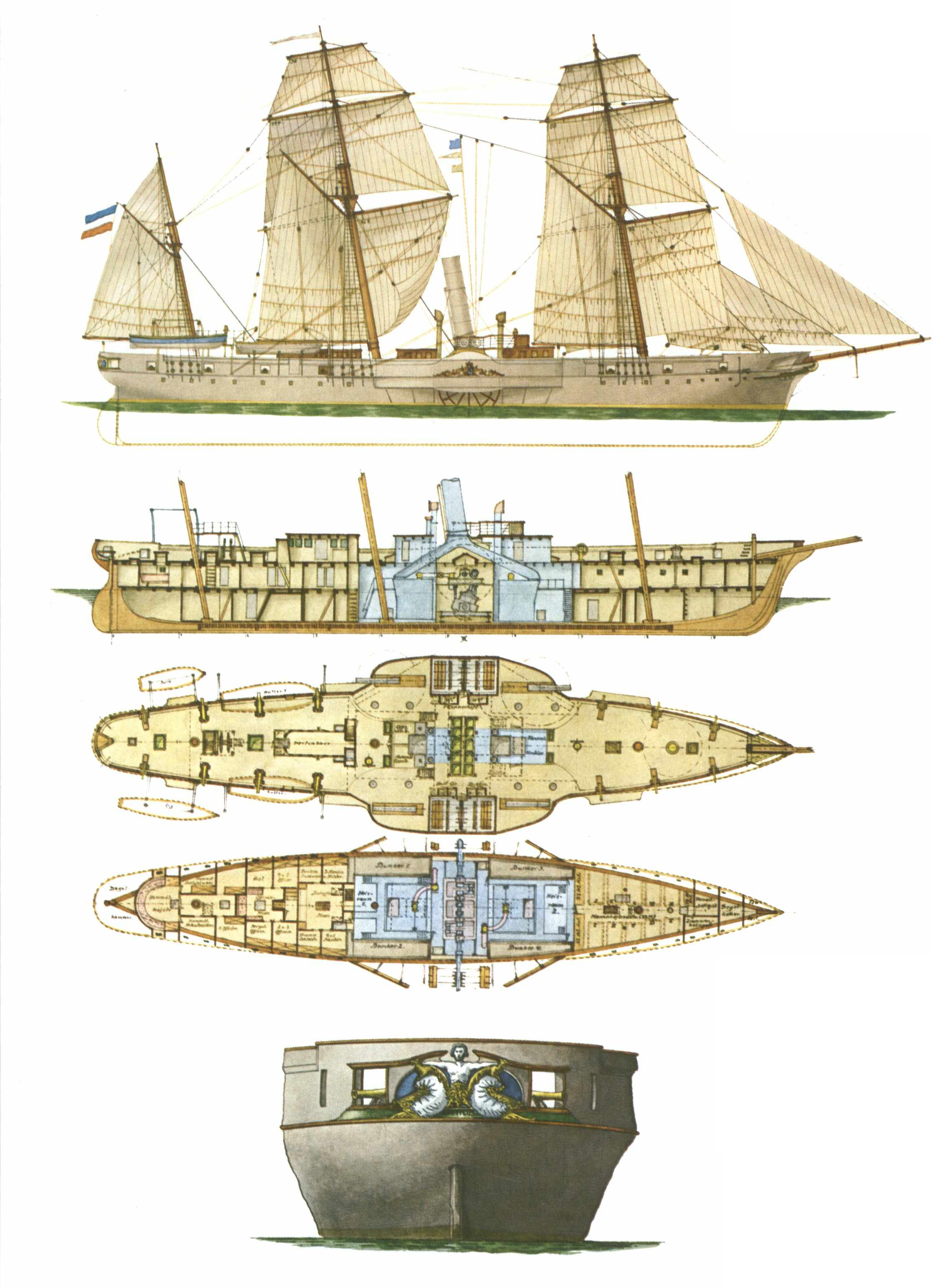 Nautilus