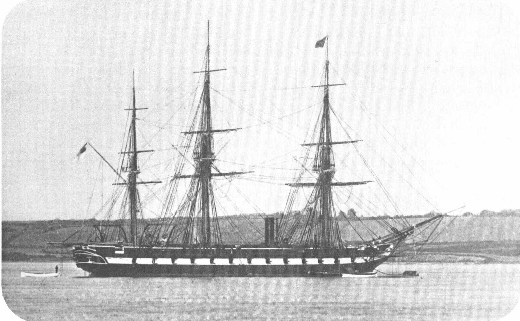 Gazelle
