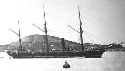 Habicht