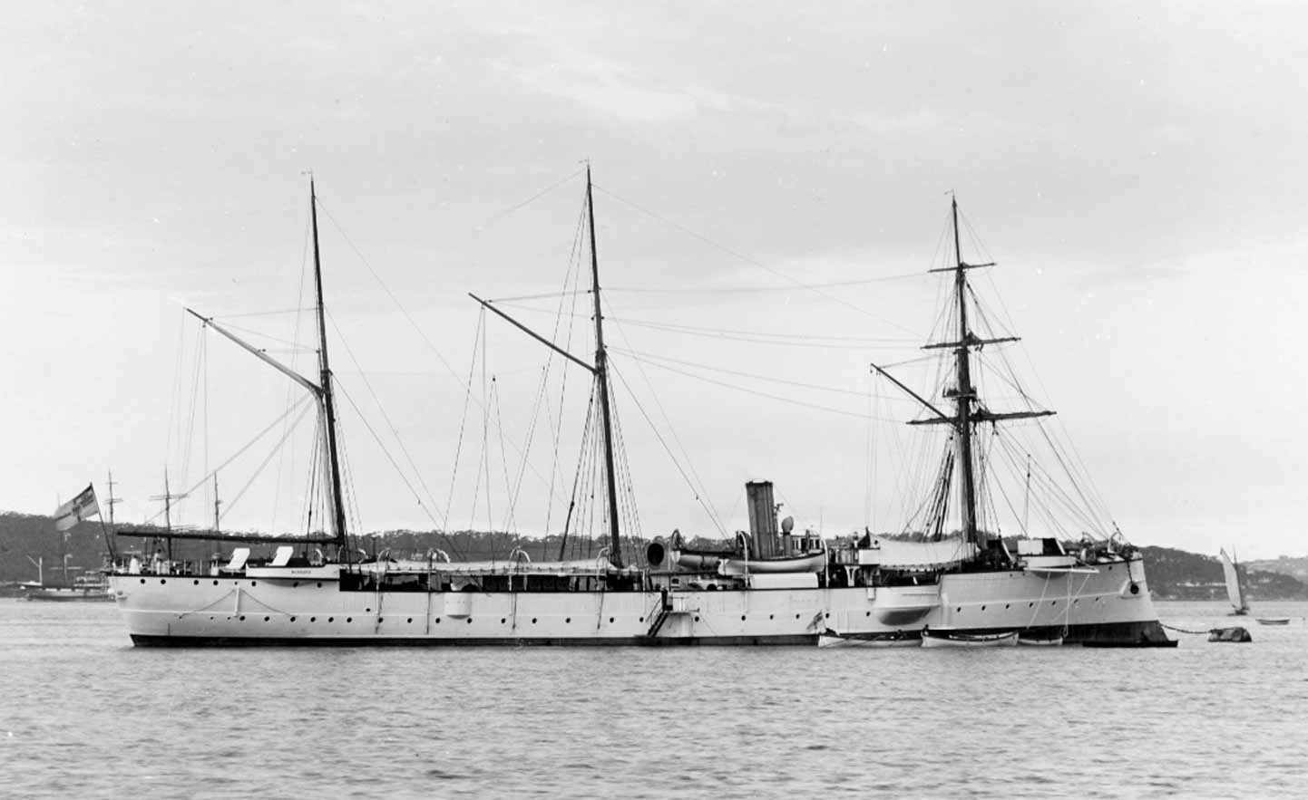 Bussard