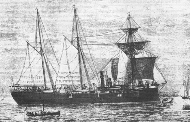 Bussard