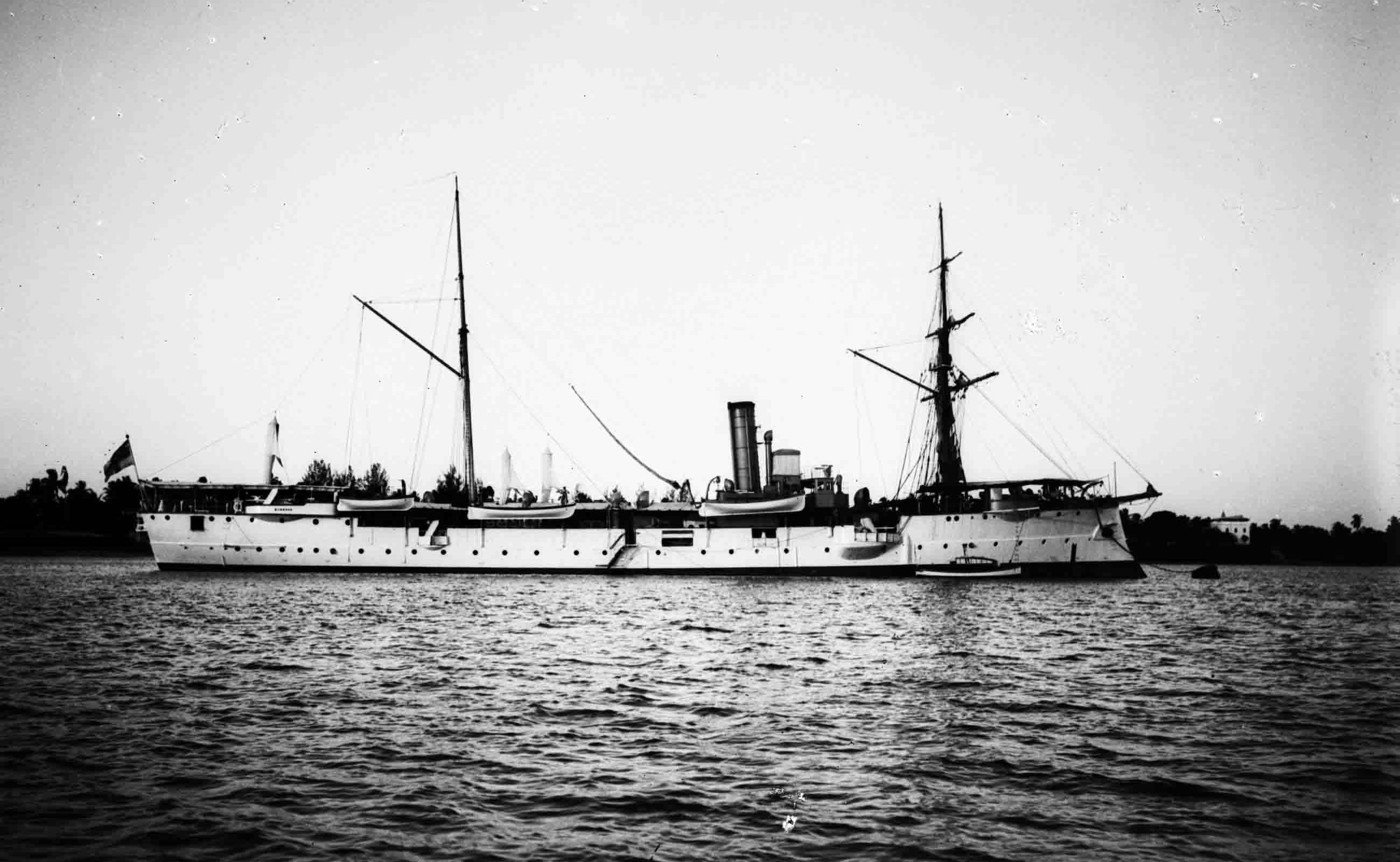 Bussard