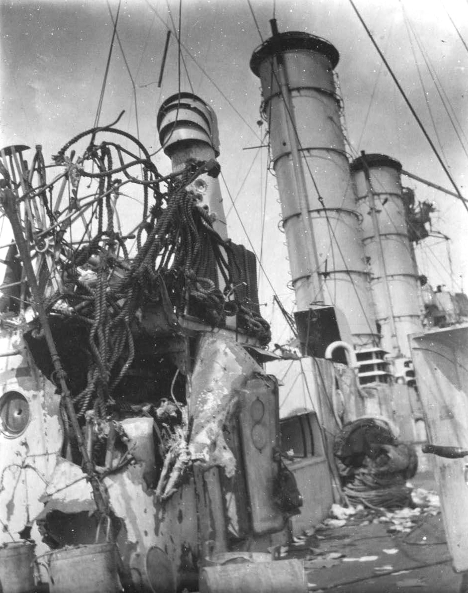 Albatross