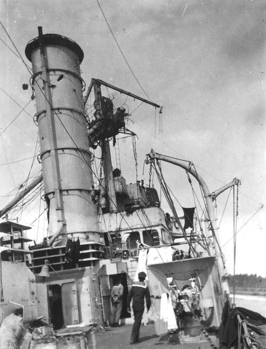 Albatross