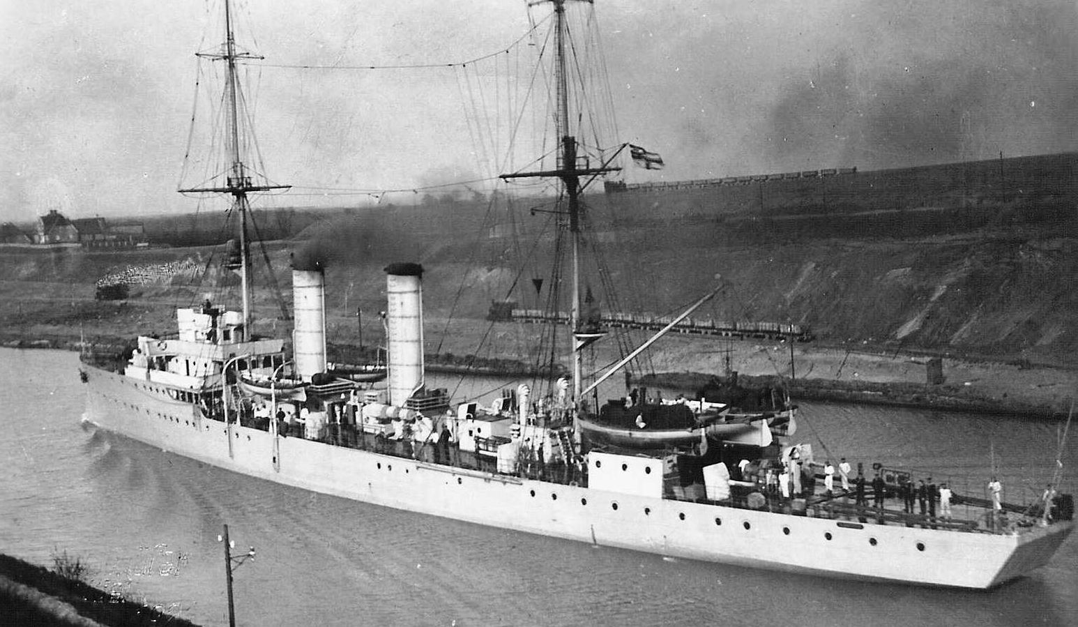 Albatross