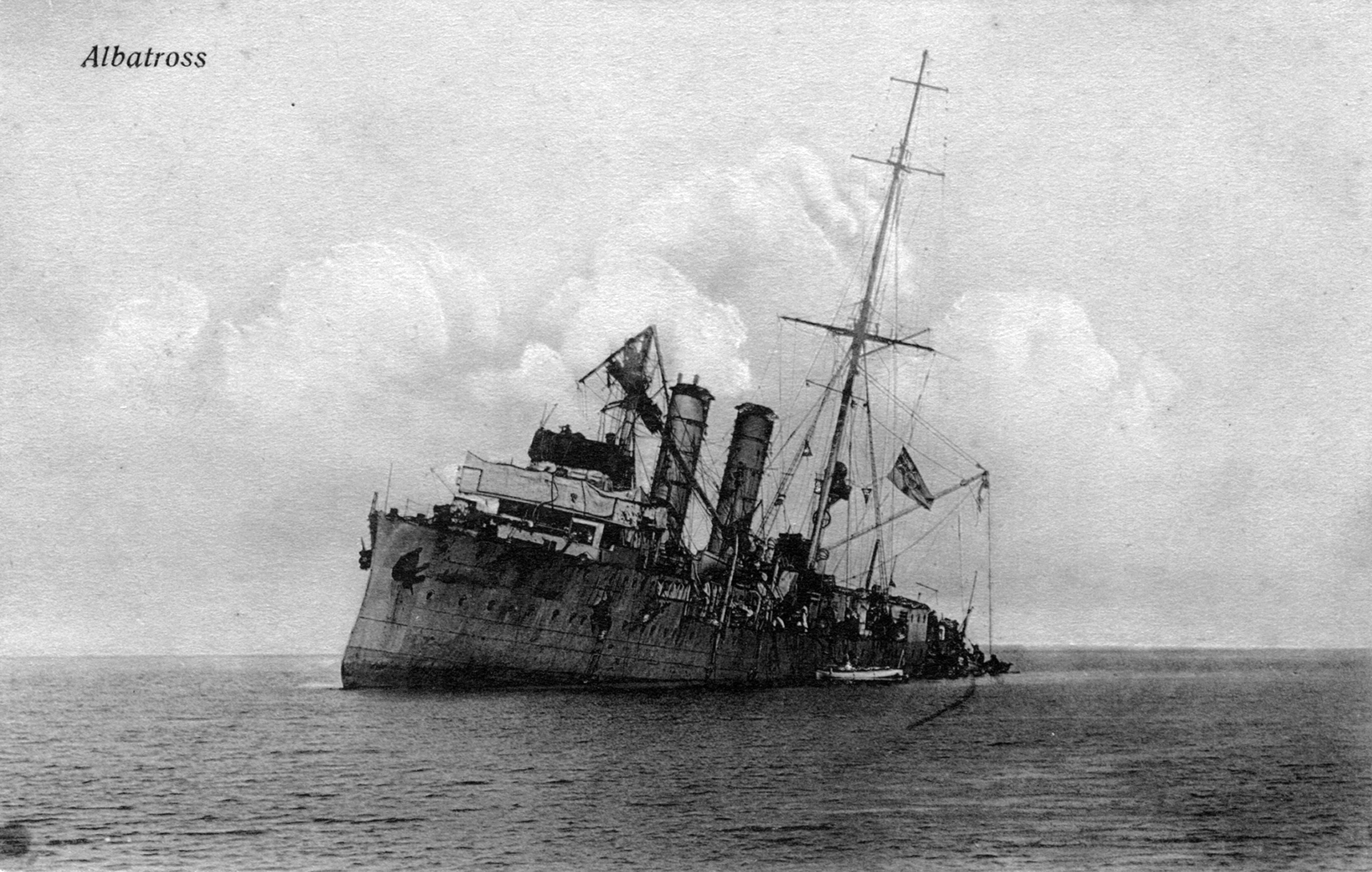 Albatross