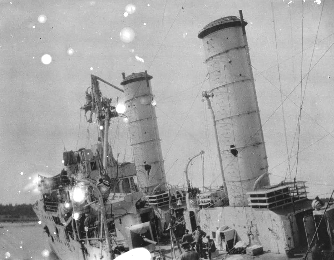 Albatross