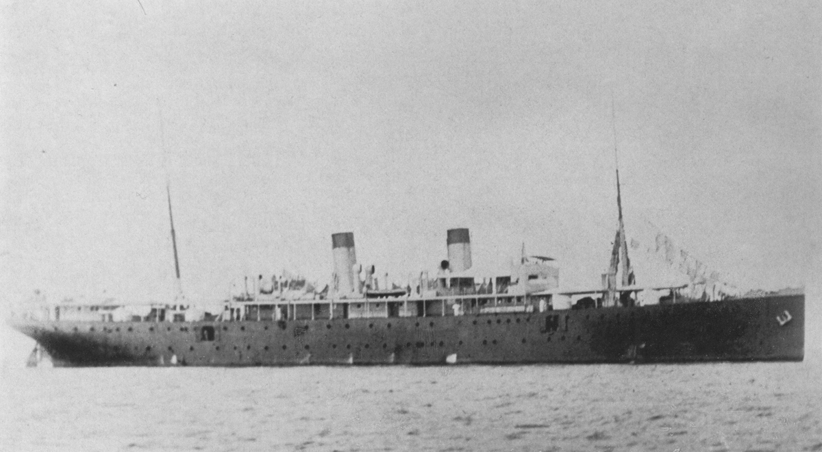 Cormoran