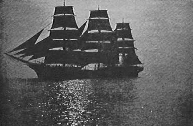 Seeadler