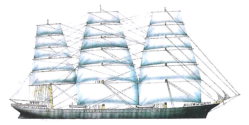 Seeadler
