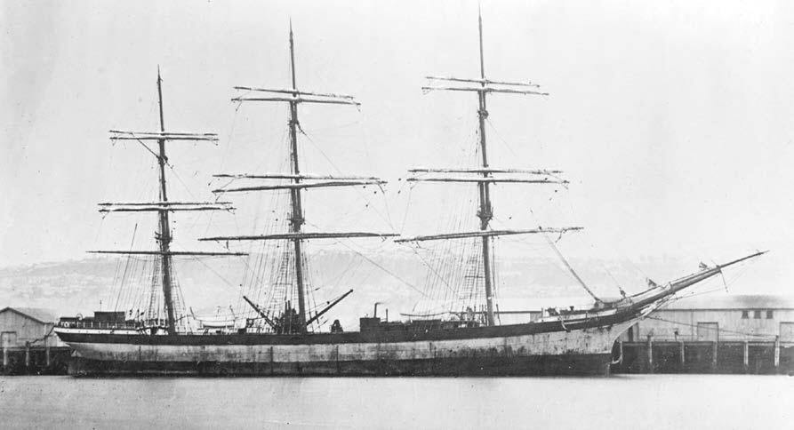 Seeadler