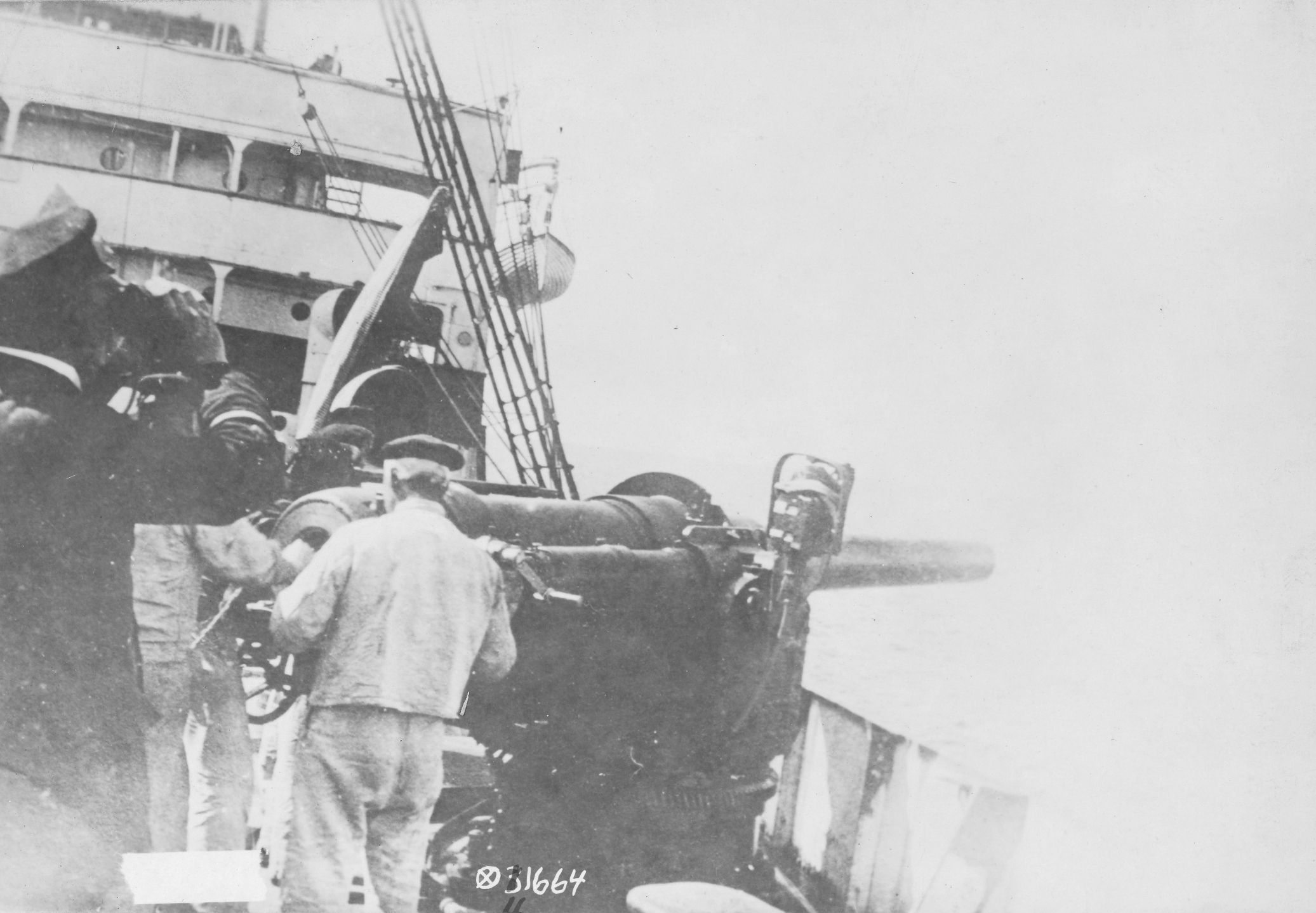 Wolf
