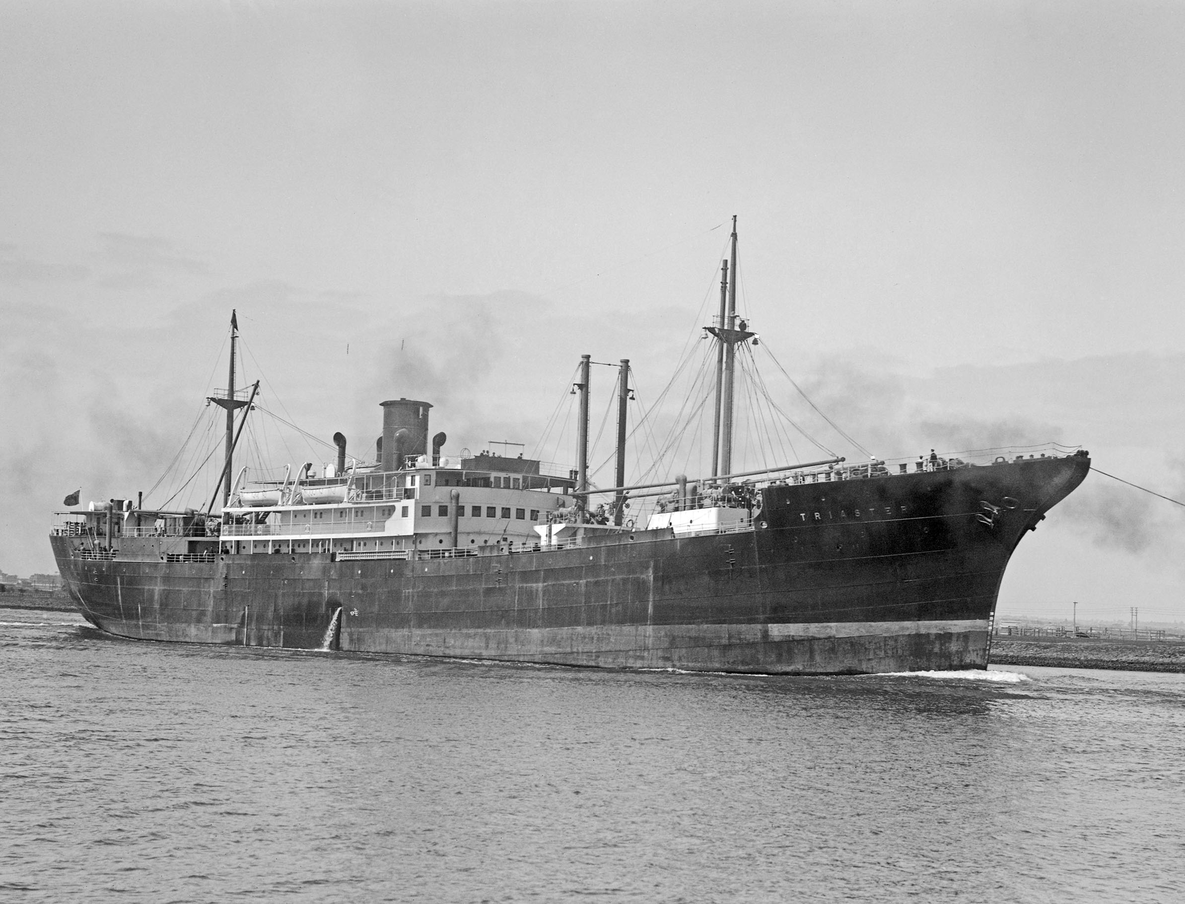 Triaster