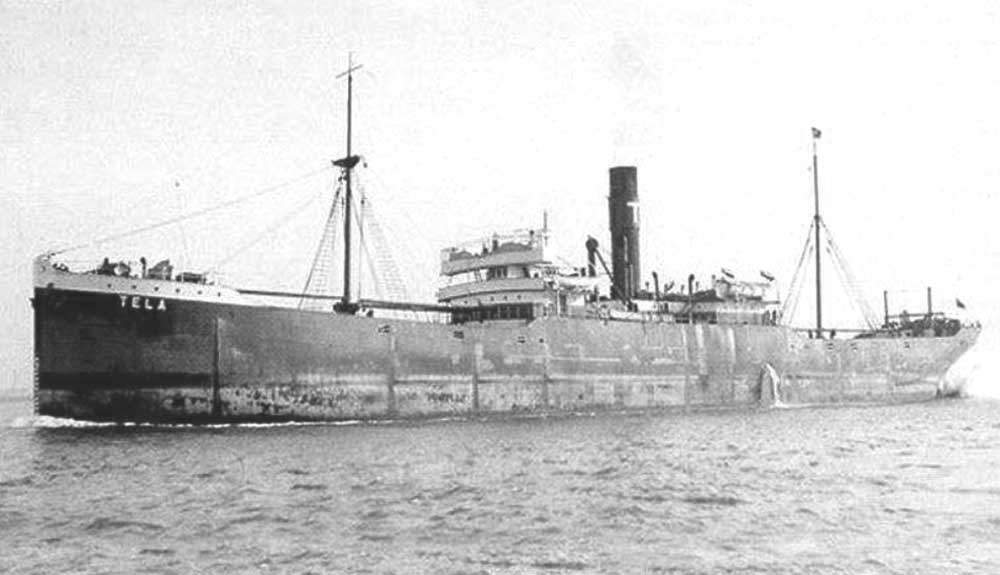 Tela
