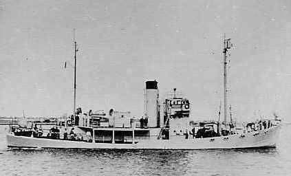 Pol VIII