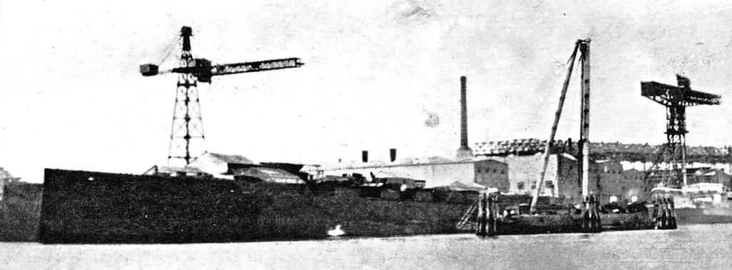 Salamis