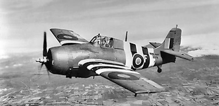 Wildcat