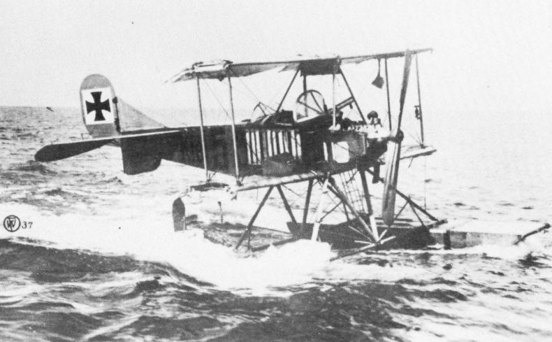 Albatros W1