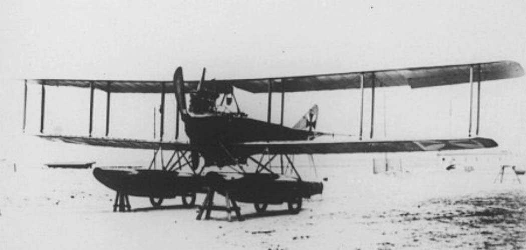 Albatros W1