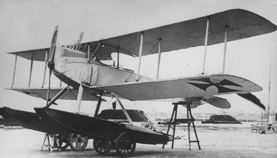 Albatros W2