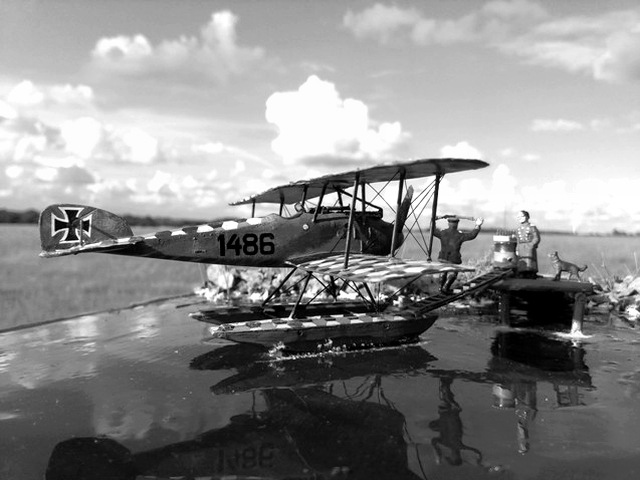 Albatros W4