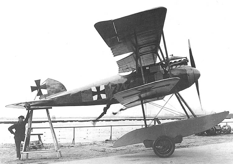 Albatros W4