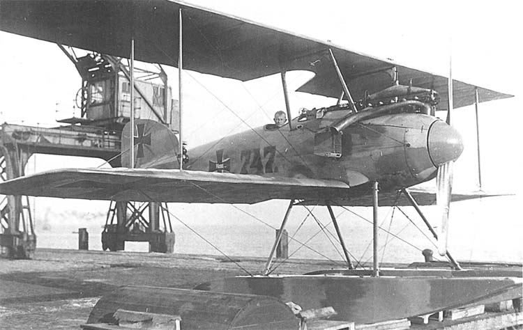 Albatros W4
