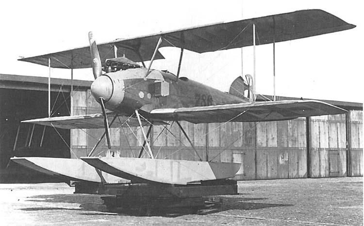 Albatros W4