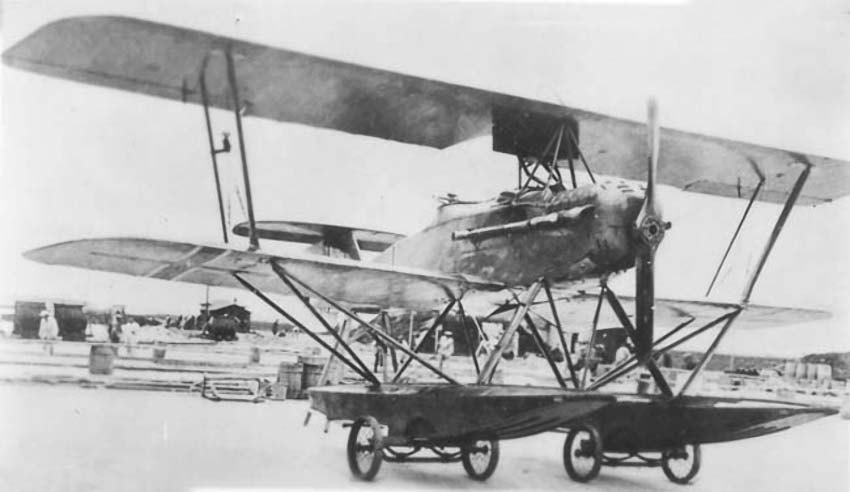 Albatros W8