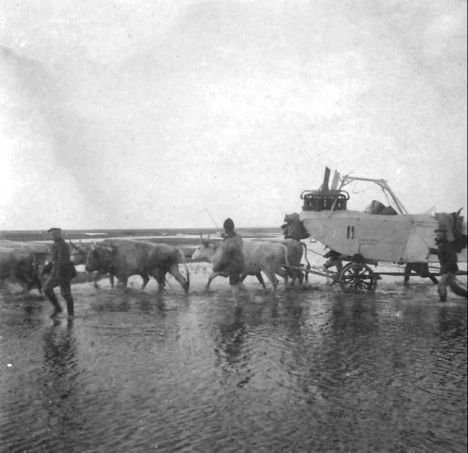 FF-33e