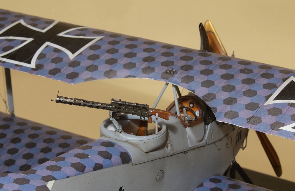 Hansa-Brandenburg W12
