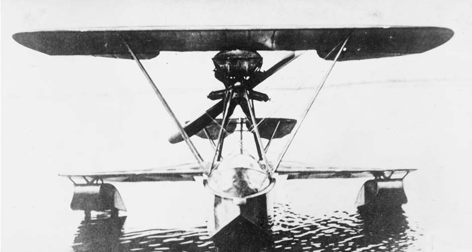 Hansa-Brandenburg W-20