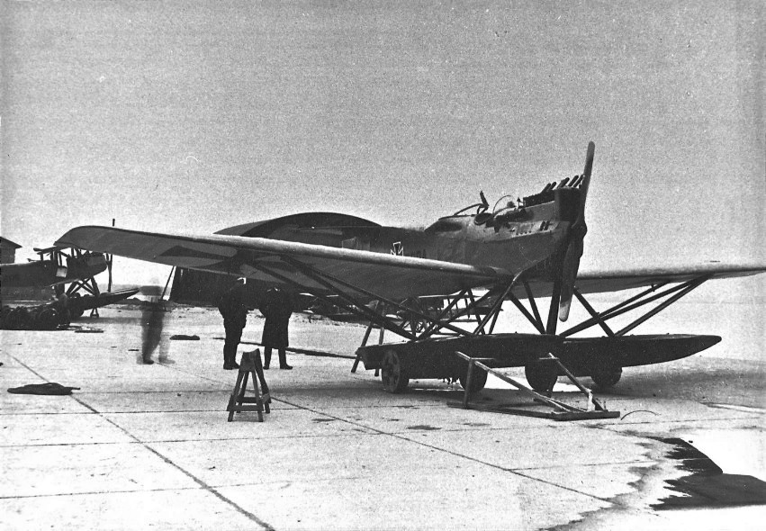 Hansa-Brandenburg W29