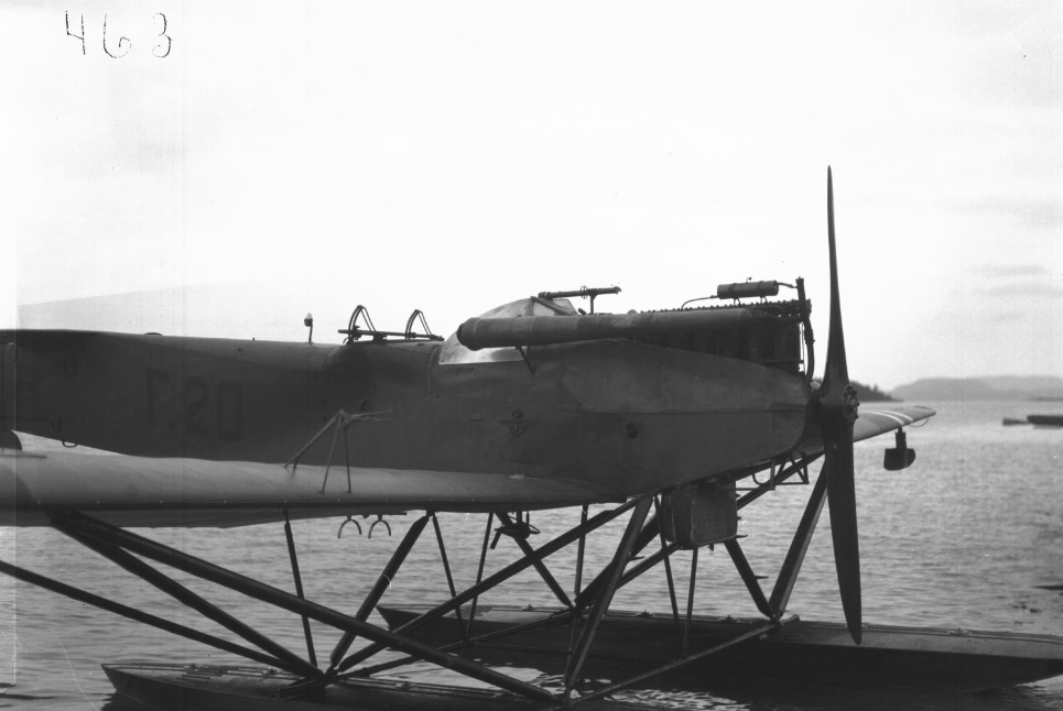 Hansa-Brandenburg W33