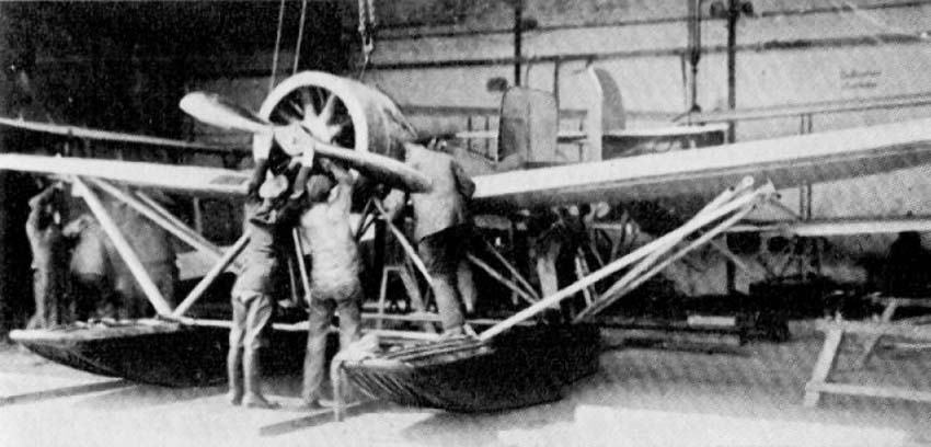 LFG V-19