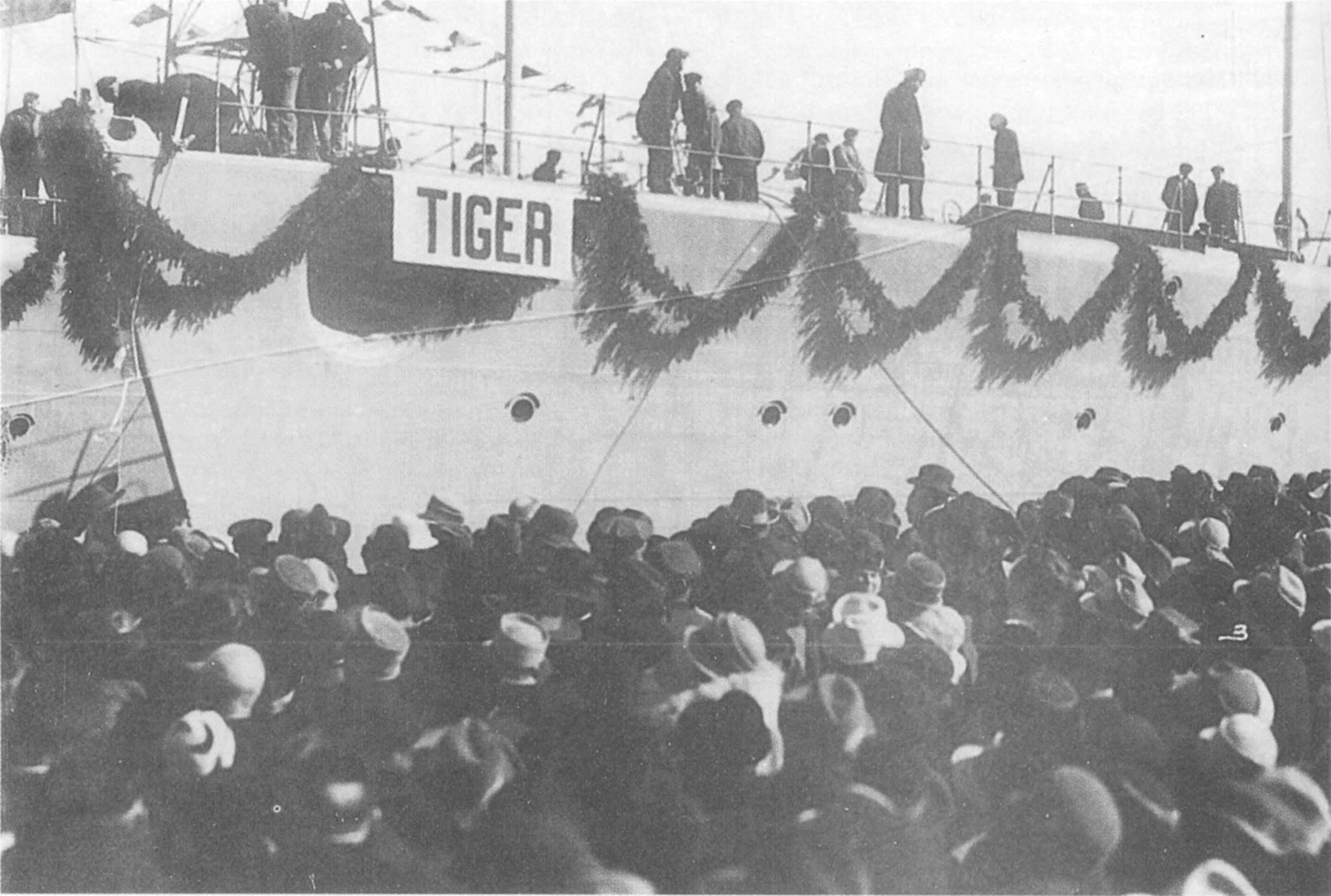 Tiger
