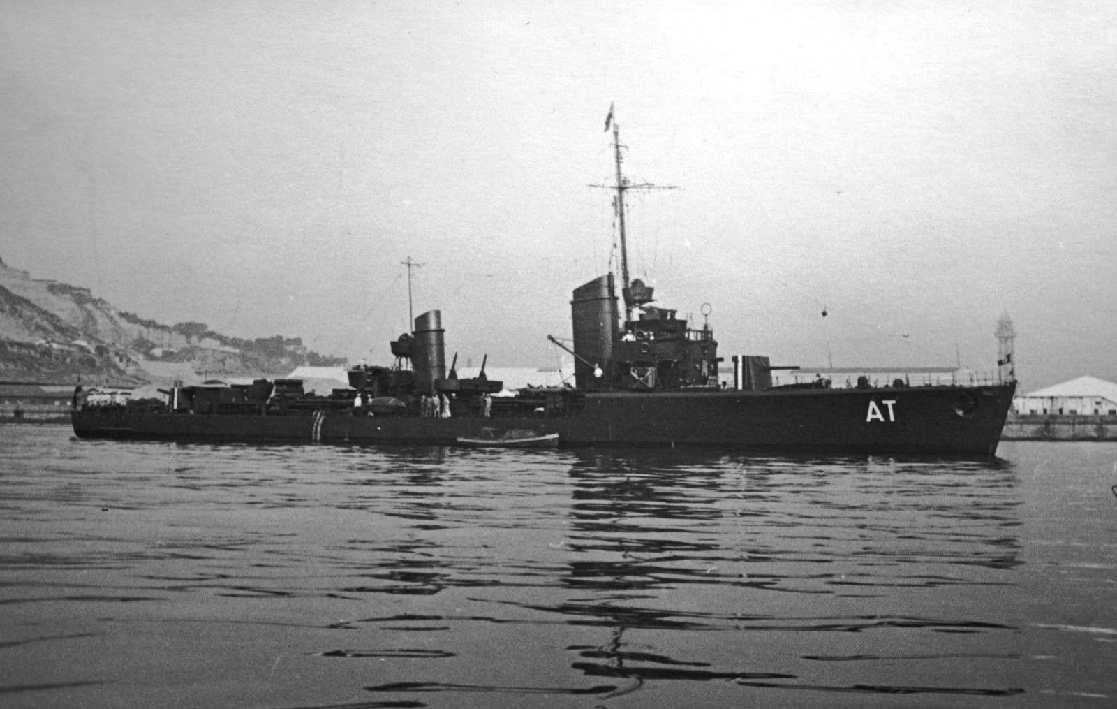 Albatross