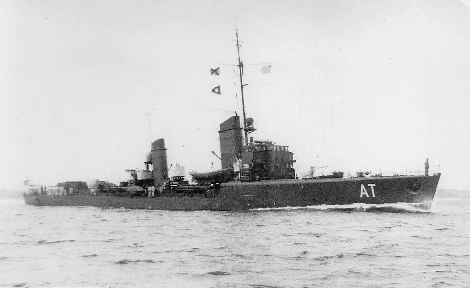 Albatross