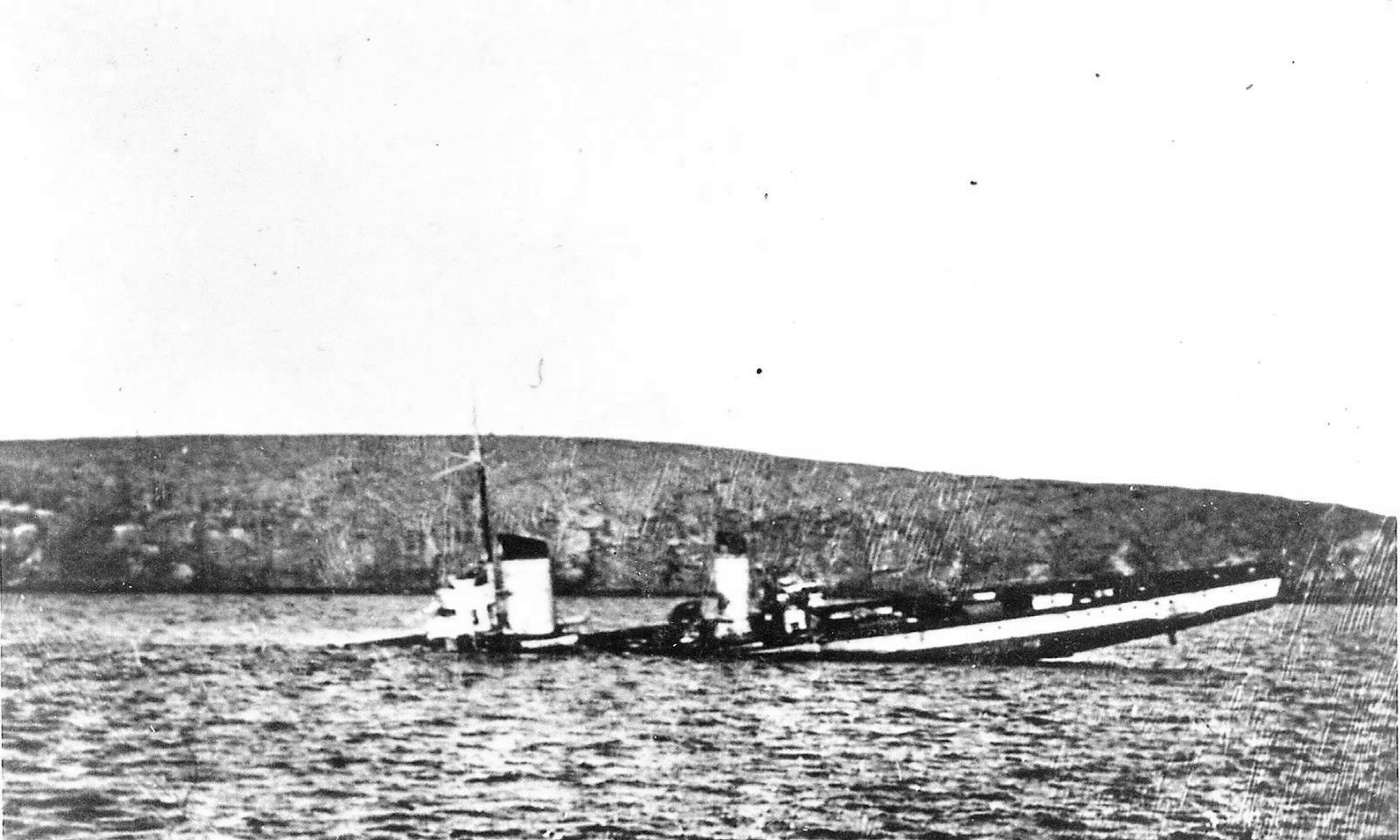 Albatross